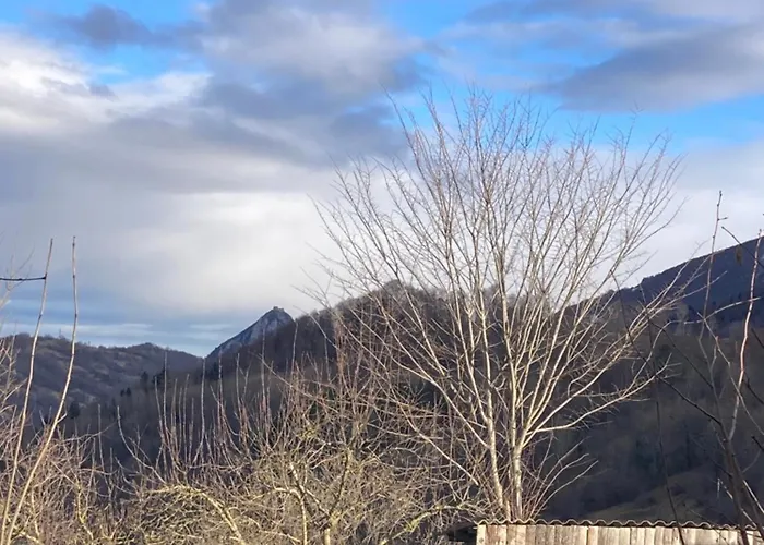 Avec Vue Sur Le Chateau De Montsegur Montferrier