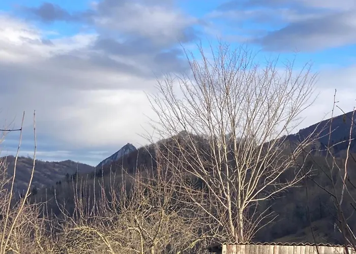 Διαμέρισμα Avec Vue Sur Le Chateau De Montsegur Montferrier