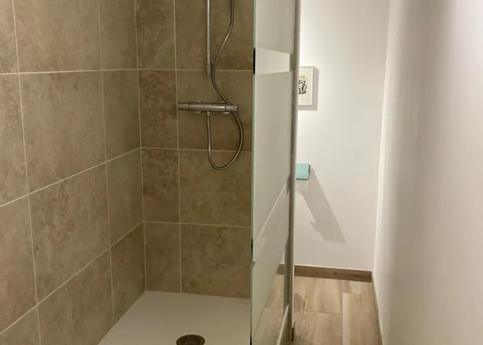 Avec Vue Sur Le Chateau De Montsegur Montferrier