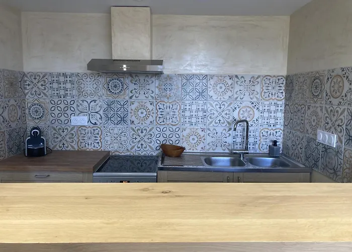 Avec Vue Sur Le Chateau De Montsegur * Montferrier